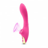 Vibrator With Sucking Function