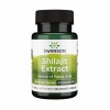 Shilajit Extract Standardizat Mumio 400 miligrame 60 Capsule Swanson, Swanson Health Products