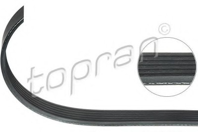 Curea transmisie cu caneluri AUDI A6 (4B2, C5) (1997 - 2005) TOPRAN 109 738 foto
