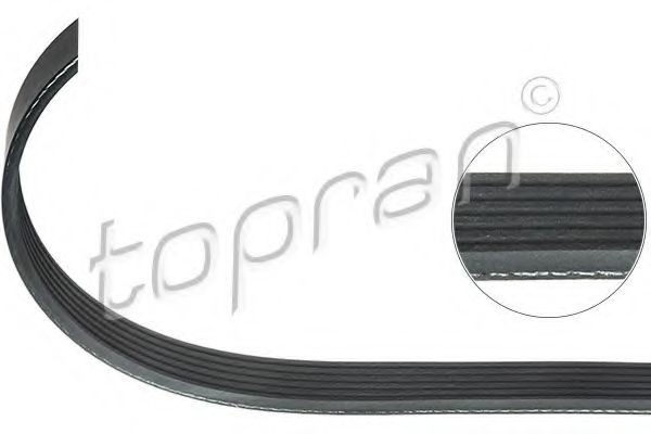 Curea transmisie cu caneluri AUDI A6 (4B2, C5) (1997 - 2005) TOPRAN 109 738