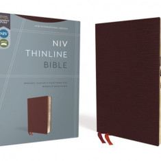 NIV, Thinline Bible, Bonded Leather, Burgundy, Indexed, Red Letter Edition