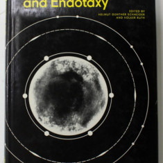 ADVANCES IN EPITAXY AND ENDOTAXY , edited by HELMUT GUNTHER SCHNEIDER and VOLKER RUTH , 1971