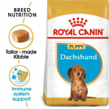 ROYAL CANIN JUNIOR Teckel 1,5 kg