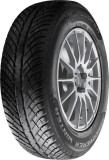 Cauciucuri de iarna Cooper Discoverer Winter ( 205/50 R17 93V XL )