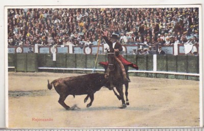 bnk cp Corrida de toros - Rejoneando - necirculata foto