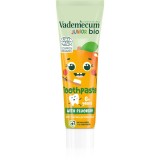 Vademecum BIO Junior pasta de dinti pentru copii cu flor de la v&acirc;rsta de 6 ani Minty Mango 50 ml
