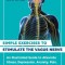 Simple Exercises to Stimulate the Vagus Nerve: An Illustrated Guide to Alleviate Stress, Depression, Anxiety, Pain, and Digestive Conditions