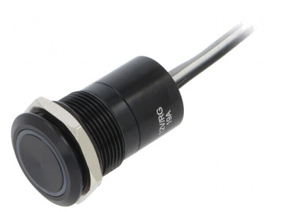 Comutator Capacitiv SPST-NC 12V DC IP68 ON-OFF foto