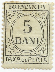 Romania, LP IV.10/1919, Taxa de plata, h. verzuie, fara filigran, eroare, MNH foto