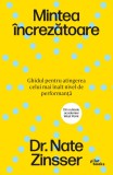 Mintea increzatoare - Nathaniel Zinsser - Pilot Books