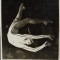 1976 Foto originala Nadia Comăneci / sport gimnastica de colectie raritate 16x12