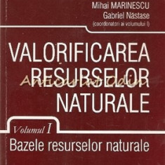 Valorificarea Resurselor Naturale - Gheorghe Preda, Mihai Marinescu