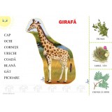 Cumpara ieftin Mapa - Animale din tinuturile calde si reci | Inesa Tautu