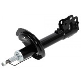 Amortizor fata Citroen C-Crosser 2007-2012, Mitsubishi Outlander 2006-2012, Peugeot 4007 2007-2013, Stanga, 4060A173