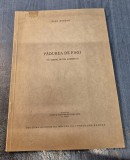Padurea de fagi un tablou de Ion Andreescu de Radu Bogdan