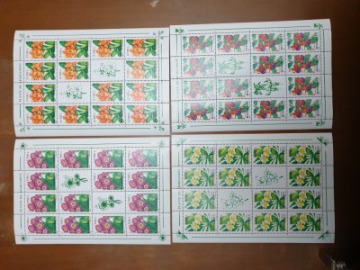 Set coli timbre Rom&amp;acirc;nia 2000 plante de apartament 4 coli foto