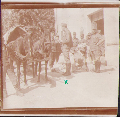 HST P1560 Poză ofițer medic militar Valeriu Lucian Bologa Primul Război foto