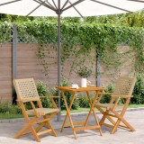 VidaXL Set mobilier bistro, 3 piese, poliratan bej/lemn masiv