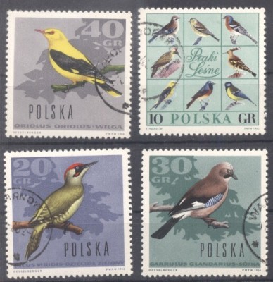 Poland 1966 Birds, used G.264 foto