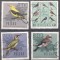 Poland 1966 Birds, used G.264