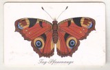 bnk card Cartele telefonice - Germania - fauna - insecte - fluturi
