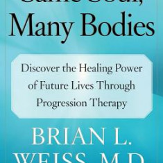 Same Soul, Many Bodies: Discover the Healing Power of Future Lives Through Progression Therapy