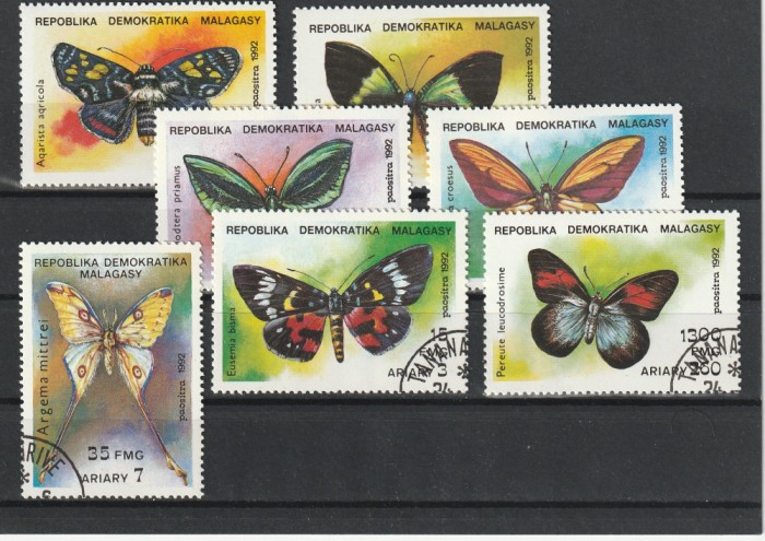 Fauna ,fluturi ,Rep Malgase .