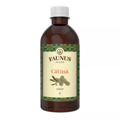 SIROP CATINA 500ML foto