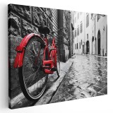 Tablou canvas bicicleta retro langa perete, rosu, negru 1187 Tablou canvas pe panza CU RAMA 70x100 cm