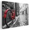Tablou canvas bicicleta retro langa perete, rosu, negru 1187 Tablou canvas pe panza CU RAMA 80x120 cm