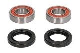 Kit rulment roata Fata (cu etansanti) pentru YAMAHA BT, FJR, FZ1, FZ6, FZS, GTS, MT-01, MT-03, TDM, XJR, XP, XT, XV, XVZ, YZF-R1, YZF-R6 500-1900 1993