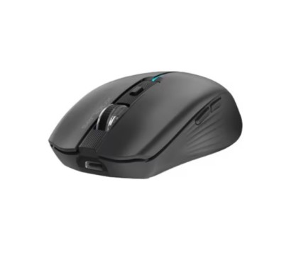 Mouse Serioux Flicker 212 foto