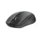 Mouse Serioux Flicker 212