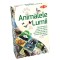 Joc educativ &ndash; Animalele lumii, Tactic &ndash; BLACKFIRE