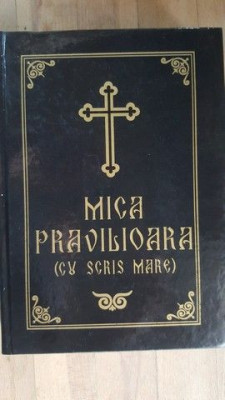 Mica pravilioara (cu scris mare) foto