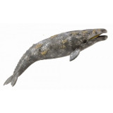 Figurina Balena Gri Collecta, 23 cm, 3 ani+