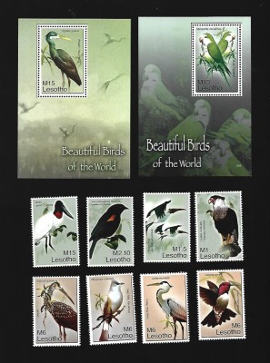 lesotho pasari mnh foto