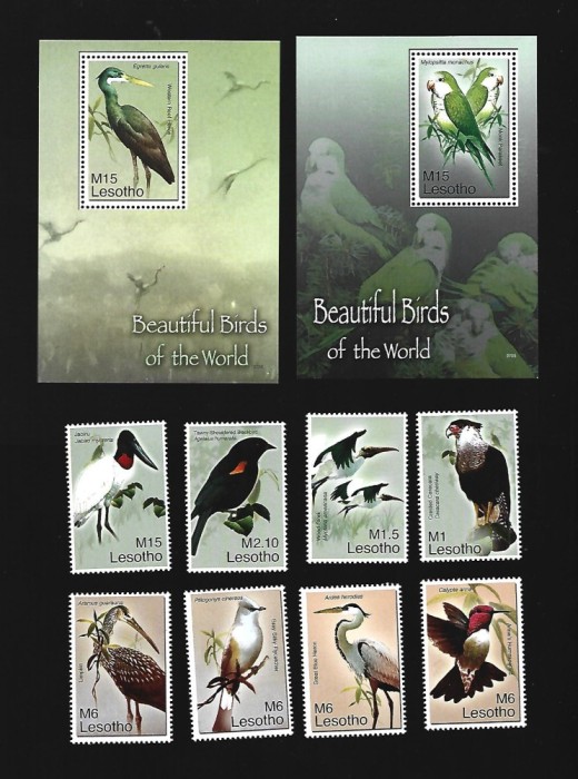 lesotho pasari mnh