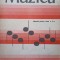 MUZICA. MANUAL PENTRU CLASA A V-A-STEFAN ANDRONIC-246174