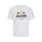 Jack &amp; Jones Palm