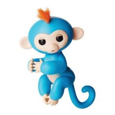 Happy Monkey, maimutica inteligenta Albastra foto