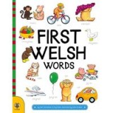 First Welsh Words (Welsh Edition)