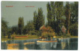 1271 - BUCURESTI, Cismigiu Park, Romania - old postcard - unused, Necirculata, Printata