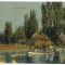 1271 - BUCURESTI, Cismigiu Park, Romania - old postcard - unused