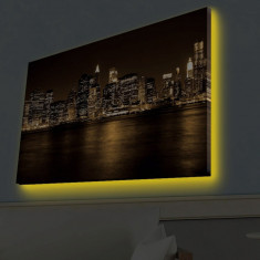 Tablou decorativ cu lumina LED, 4570HDACT-096, Canvas, Dimensiune: 45 x 70 cm, Multicolor