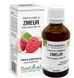 Extract Mladite Zmeur Plantextrakt, 50ml - Echilibru Hormonal Feminin, Menopauza, Ciclu Menstrual