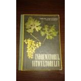 INDRUMATORUL VITICULTORULUI