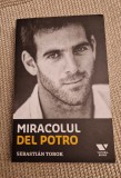 Miracolul Del Potro Sebastian Torok