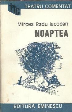 Noaptea - Mircea Radu Iacoban foto