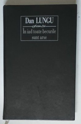 IN IAD TOATE BECURILE SUNT ARSE de DAN LUNGU , 2011 foto